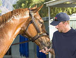 Belmont Stakes winner Summer Bird and trainer Tim Ice