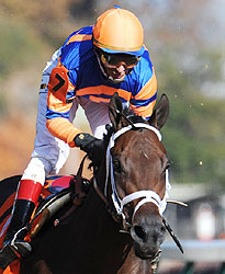 2011 Breeders' Cup Juvenile winner Uncle Mo.
