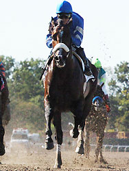 Alan Garcia guides Girolamo to victory in the Vosburgh at Belmont Park.