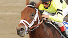 Quality Road wins the 2010 Woodward Stakes at Saratoga.