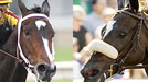 Rachel Alexandra and Zenyatta