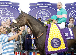 Zenyatta, with Mike Smith up, gathers in the winner's circle after winning the 2008 Breeders' Cup Ladies' Classic.