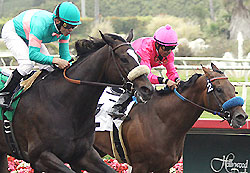 Zenyatta catches St Trinians in the final 1/16 to win the Vanity and stay unbeaten.