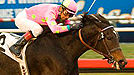 Zardana wins the Bayakoa Handicap
