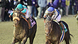 Blame beats Zenyatta in the Classic