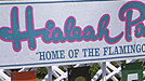 Hialeah Park in 1999
