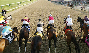 Horses leave the gates during the 2008 Preakness Stakes.