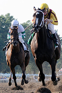 Rachel Alexandra