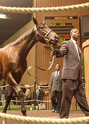 Keeneland sales ring