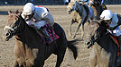 Travers Stakes at Saratoga