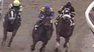 Whirlaway Stakes