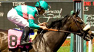 Zenyatta wins the Grade 1 Vanity at Hollywood Park