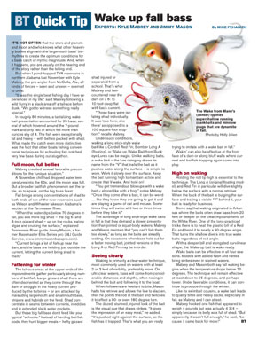 Click here for the full-size version.