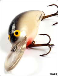 Photo: BASS
