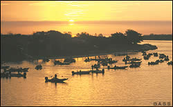 Anticipating the take-off!  This scene repeats itself thousands of times on hundreds of lakes each year.