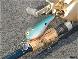Using crankbaits that would dive to different depths, Short hit every possible angle of the cypress tree clusters he was fishing. Most of his bass hit during the heat of the day, from 11 a.m. to 1 p.m.