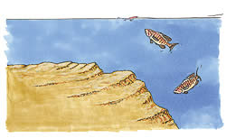 The winning pattern