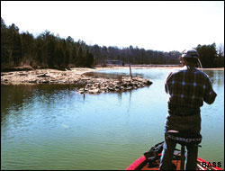 (Photo: BASS)
