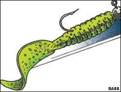 (Illustration: BASS)