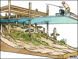 (Illustration: Chris Armstrong)