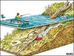 (Illustration: Chris Armstrong)