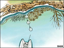 (Illustration: Chris Armstrong)