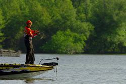 BASS