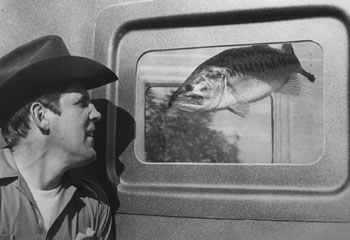 BASS
