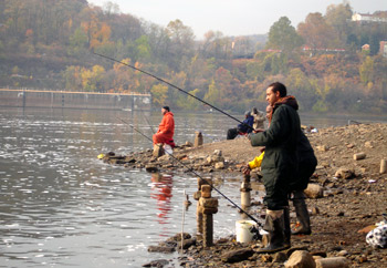 BASS Conservation ACT alerts