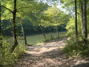BASS Conservation ACT alerts