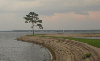 BASS Conservation ACT alerts