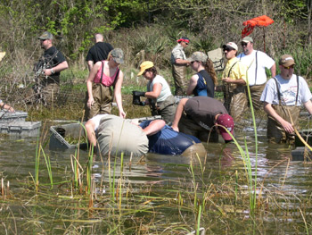 BASS Conservation ACT alerts