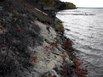 BASS Conservation ACT alerts