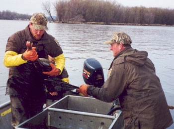 BASS Conservation ACT alerts