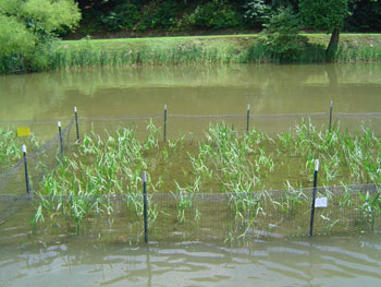 BASS Conservation ACT alerts