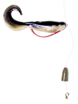 Marty Stone Finesse Rig