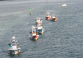 Quiznos Madfin Shark Series
