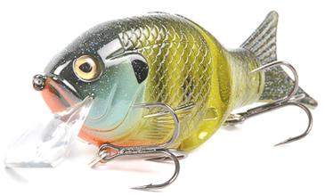 Black Dog Bait Shellcracker