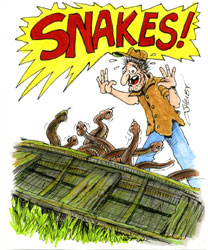 Illustration: Cliff Shelby