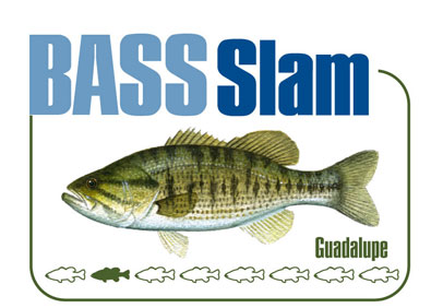Guadalupe Bass