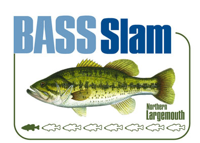 Northern Largemouth Bass