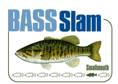 Smallmouth Bass