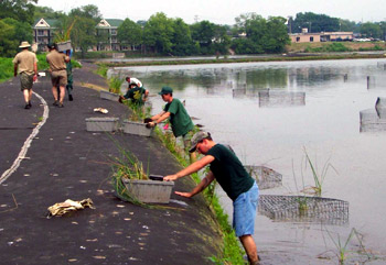 BASS Conservation ACT alerts