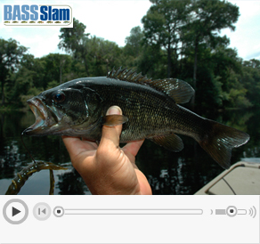 Click to play slideshow