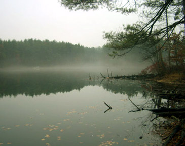 Cold weather fishing