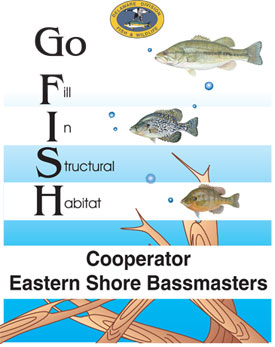 GO FISH