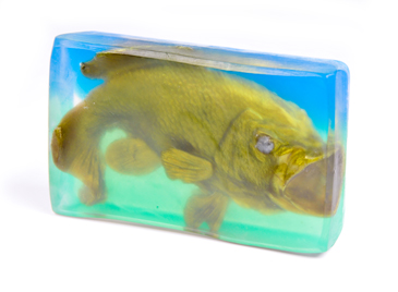 Kiss of Bass Soap