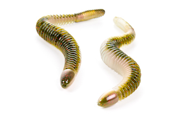Stanley Sidewinder