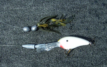 The Reel World