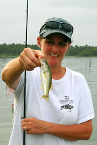 Renee Key Johnston 